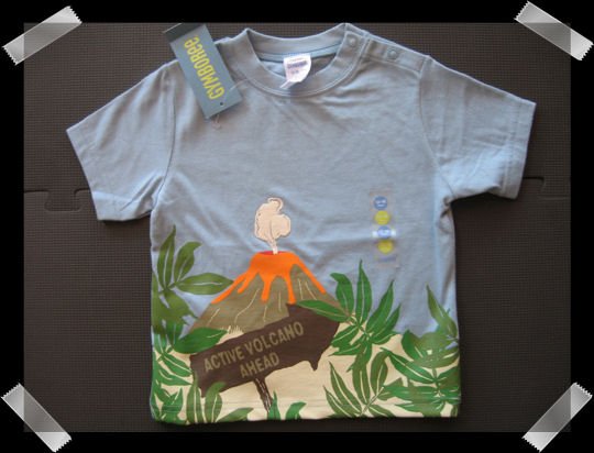 Gymboree Boys T shirt size 12-18 months