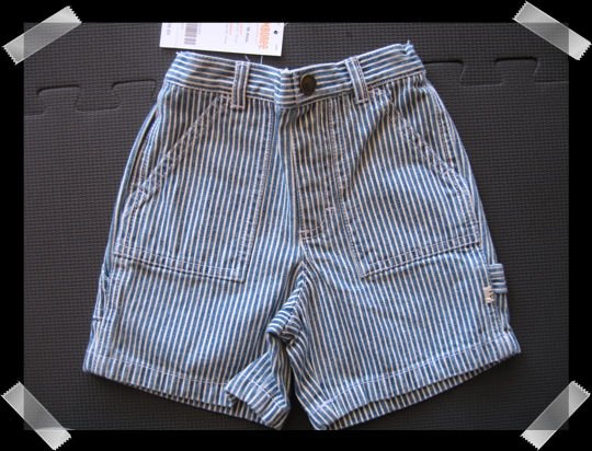 Gymboree My Dinosaur Stripe Short size 12-18 months