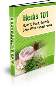 ebook HERBS 101 $1.00 FREE SHIPPING international!