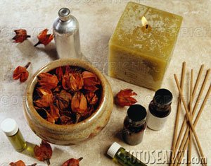 eBook Making Potpourri & Incencse eBooklets eBook ONLY $1.00 Free shipping International!