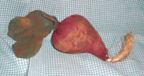 Primitive Folk Art Beet Ornies. Bowl Fillers