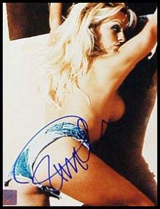 Pamela Anderson Signed 8 X 10 Photo - (wall)