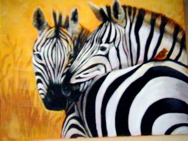 Zebras