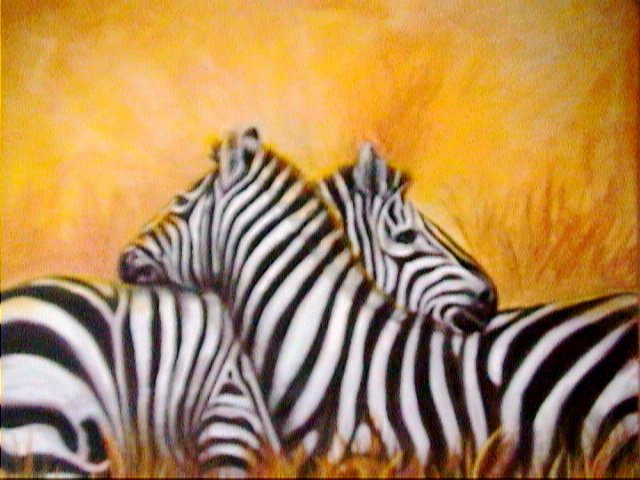 Zebras