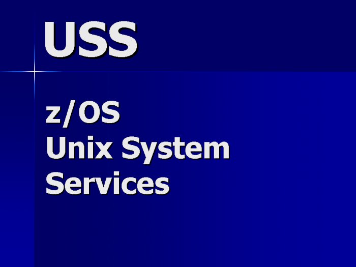 USS - Unix System Services Contractor