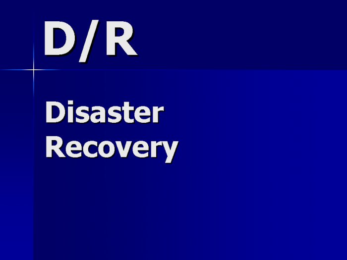 Disaster Recovery Support Contractor