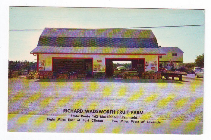 VINTAGE POSTCARD RICHARD WADSWORTH FRUIT FARM MARBLEHEAD, OH FREE US SHIPPING