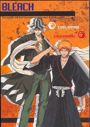 Bleach Mini Notebook