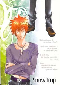 Bleach Yaoi Doujinshi IchigoXUryuu