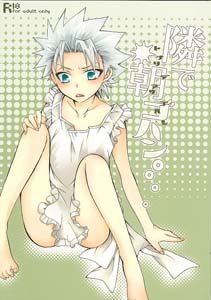 Bleach Yaoi Doujinshi GinXHitsugaya