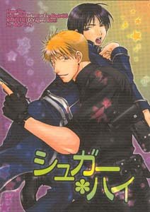 Fullmetal Alchemist Yaoi Doujinshi HavocXRoy