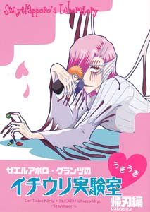 Bleach Shonen ai Doujinshi IchigoXUryuu (w. Aporro)