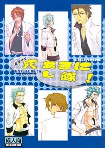 Bleach Yaoi Doujinshi AizenXGrimmjow