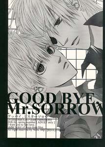 D. Gray-man Shonen ai Doujinshi LaviXAllen