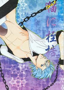 Bleach Yaoi Doujinshi AizenXGrimmjow