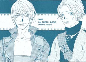 Devil May Cry (and other gaming fandoms) 2009 Calendar Book