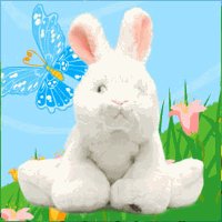 Webkinz Rabbit