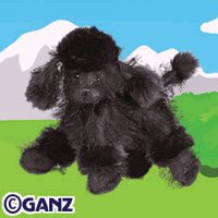 Webkinz Black Poodle