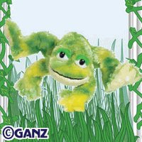 Webkinz Tie-Dye Frog