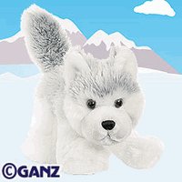 Webkinz Husky