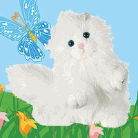 Webkinz Persian Cat