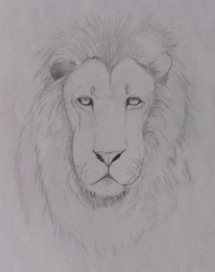 Aslan the Lion