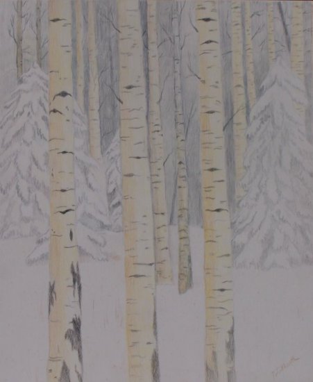Birches in the Snow