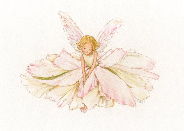 Peony Fairy
