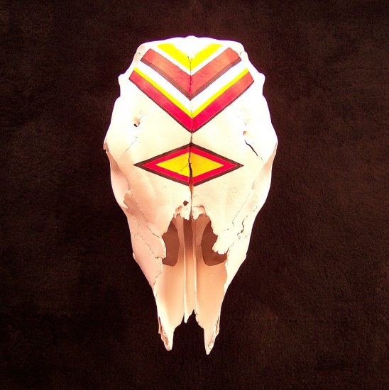 Handcrafted Painted Calf Skull