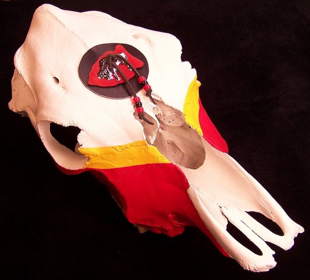 Handcrafted Red and Yellow Cow Skull
