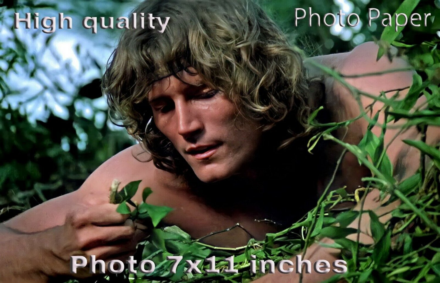 Miles O Keeffe Tarzan The Ape Man PHOTO HQ X Inches