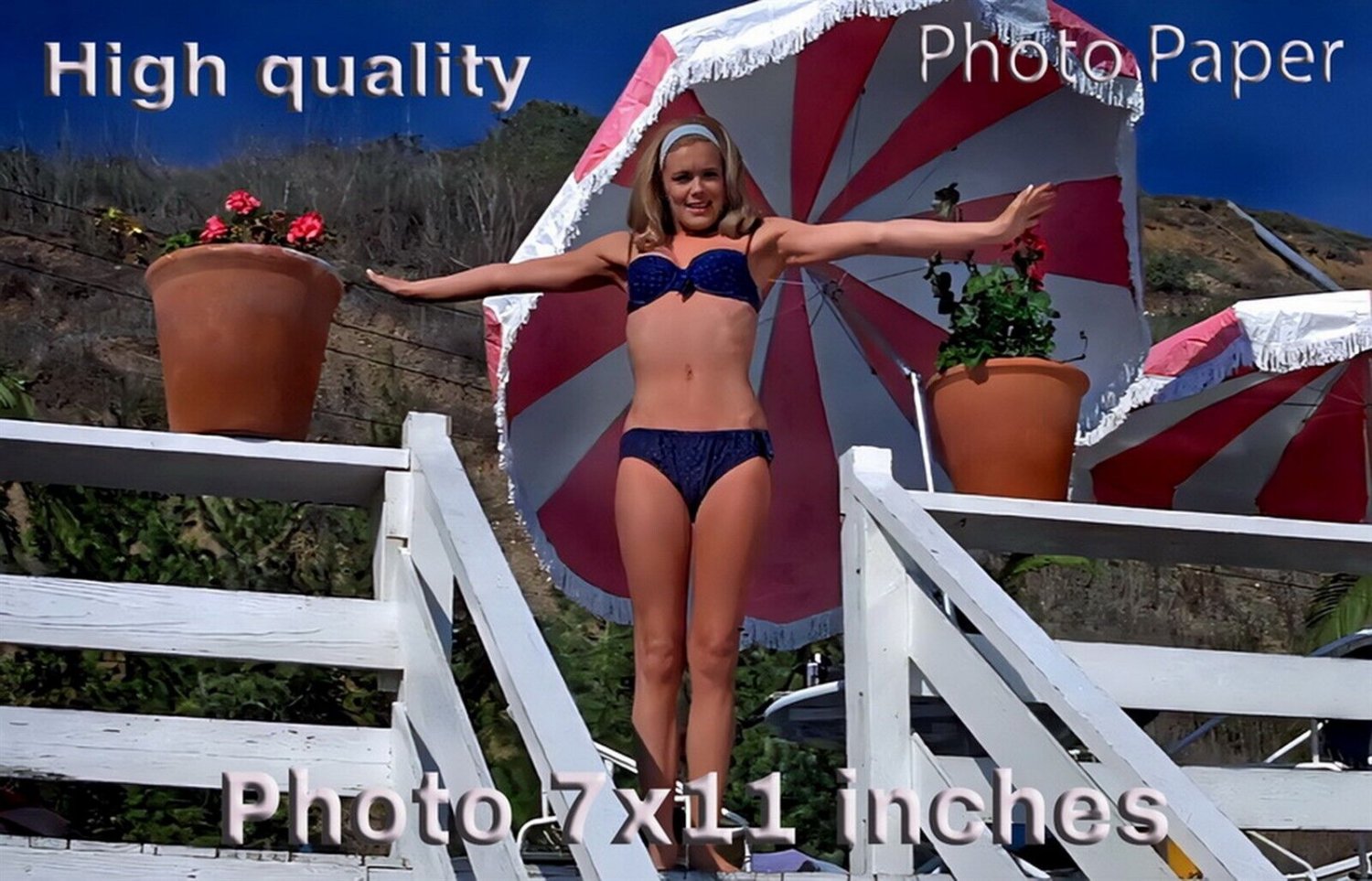 Linda Evans Beach Blanket Bingo PHOTO 11x7 Inches 05