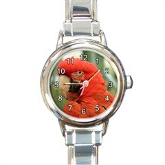 New round Italian Charm Watch Animal Bird Red Cockatoo