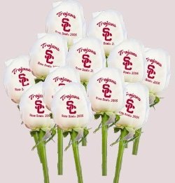 Dozen White Roses with your logo or personalized message