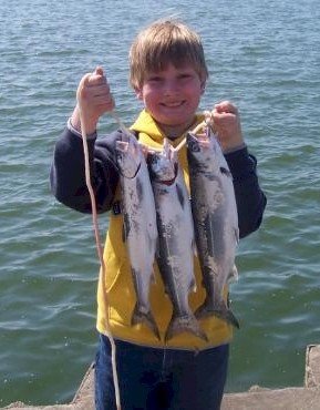 MICHIGAN COHO FISHING - KIDS' SPECIAL