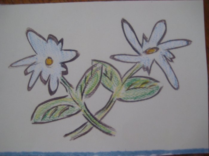 Daisy's Handmade Card