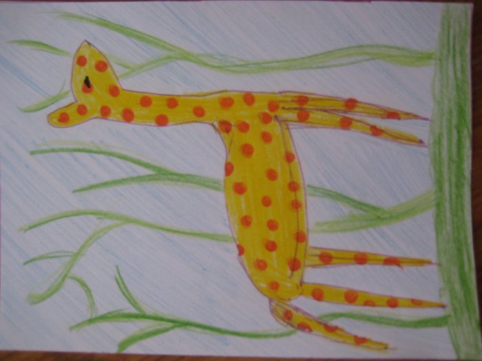 Giraffe Handmade Card