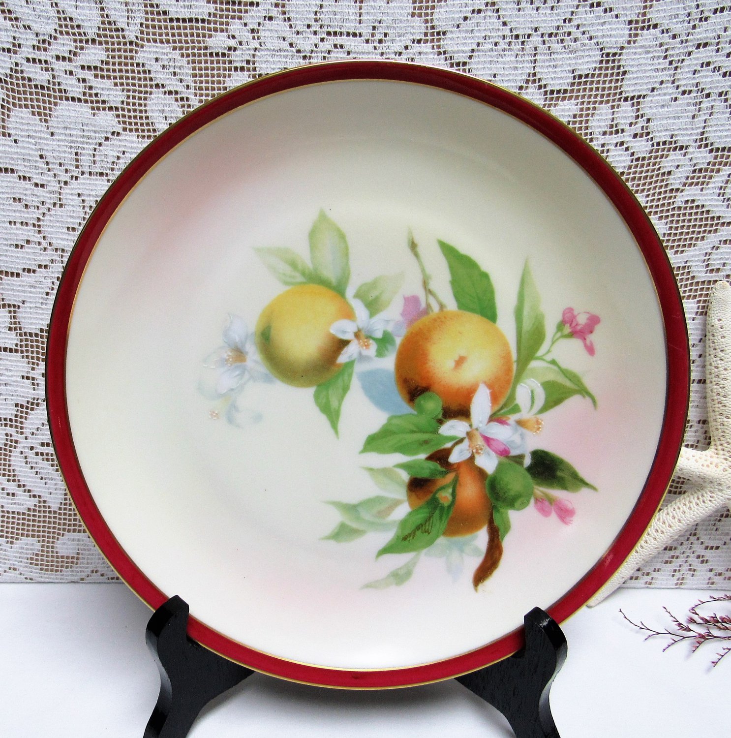 Vintage Hutschenreuther Selb Bavaria Oranges Hand Painted Plate Beautiful