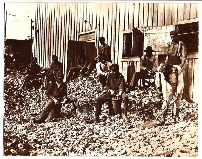 Real Photo-Oyster shuckers in Apalachicola, 1909
