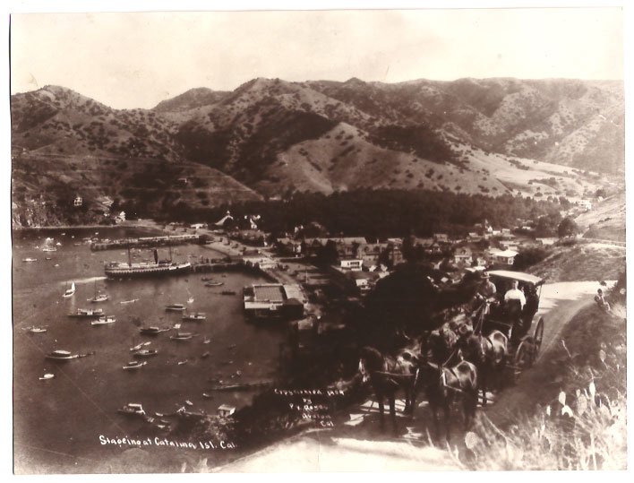 Real Photo of a horse-drawn carriage w/passengers overlooking at Catalina Isl., California, 1909