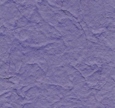 10 piece Violet Heavy Mulberry Paper