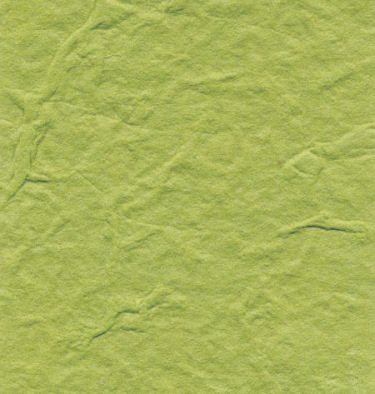 Light Olive Green Heavy Weight Mulberry Paper 10 Sheet Pack