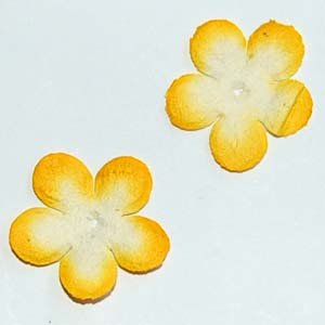 20 Yellow and White Mulberry Paper Flowers Embellishment Card Topper