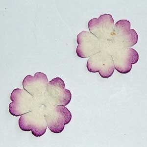20 Lilac and White Blossom Flowers Mulberry Paper Embellishment Cards