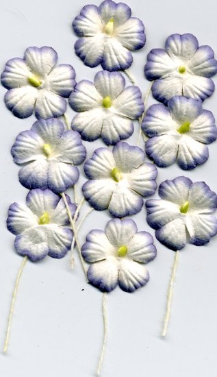 10 Purple and White Flowers w/ Pollen Stem Card Topper