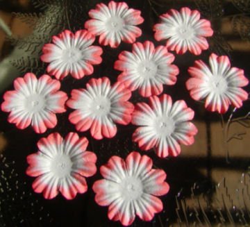 10 Peach and White Mulberry paper Flower Card topper
