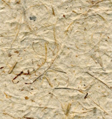 10 Natural With Fiber Scruffy Mulberry Paper Tear Bear