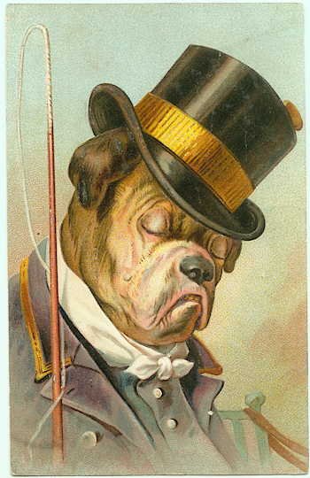 Dressed Bulldog - Top Hat & Whip - 103