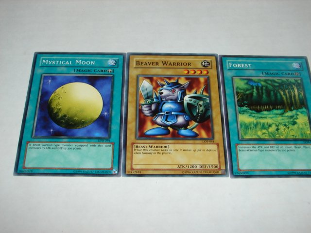 Yu-Gi-Oh cards Mystical Moon. Beaver Warrior, and Forest