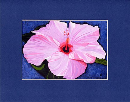 Hawaii HIBISCUS Flower Spring, Pinks, Reds & Violet Blue Botanical Matted Print, Renee Rutana